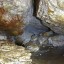 Пещеры Пинежского заповедника: фото №352637