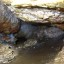 Пещеры Пинежского заповедника: фото №352638