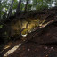 Карстовые пещеры в Ичалковском госзаказнике: фото №716375