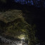 Карстовые пещеры в Ичалковском госзаказнике: фото №716381
