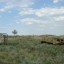 Учебный полигон-танкодром КНБ РК: фото №293340