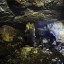 Медный рудник «Надежда»: фото №297991
