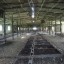 Заброшенные строения Шпаковской птицефабрики: фото №300233