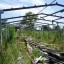 Заброшенные строения Шпаковской птицефабрики: фото №300251