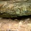 Медвежья пещера: фото №404398