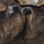 Катникова пещера: фото №663485