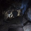 Катникова пещера: фото №663489