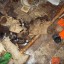 Заброшенная подземная санитарная часть: фото №313772
