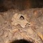 Пещера Аю-Ыскан: фото №322817