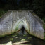 Туннель в посёлке Мурмаши: фото №608872