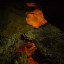 Пещера Красная (Кызыл-Коба): фото №338438