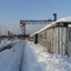 Станция Сысольской УЖД: фото №351186