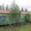 Заброшенное депо и железная дорога в п. Шапки: фото №392527