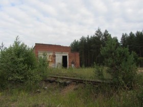 Заброшенное депо и железная дорога в п. Шапки