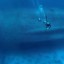 Затонувший паром «Салем Экспресс»: фото №394760