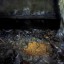 Рудник имени Сталина — штольня №8: фото №530497