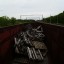 Заброшенные товарные вагоны: фото №287373