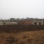 Свиноферма под Сосновым Бором: фото №423567