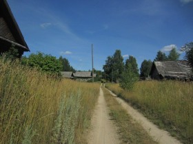 деревня Никиткино