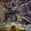 Заброшенные выработки Маукского рудника: фото №450132