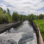 Южнобутовский водоотводящий канал: фото №746762