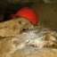 система пещер Володарка: фото №543148