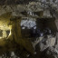 система пещер Володарка: фото №674854