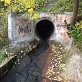 Безымянный подземный ручей в районе Хорошево-Мневники