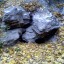 Пещера «Под Висячим камнем»: фото №491145