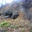Пещера «Под Висячим камнем»: фото №491148