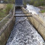 Недействующая Рощинская ГЭС: фото №682376
