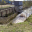 Недействующая Рощинская ГЭС: фото №682380