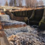 Недействующая Рощинская ГЭС: фото №710505