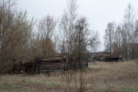 деревня Берёзовка
