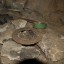 Кольцовские пещеры: фото №154770
