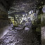 Кольцовские пещеры: фото №666933