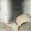 Подземелья в Сеще: фото №21121