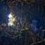 Пещера Там Пукхам (Tham Poukham Cave): фото №524170