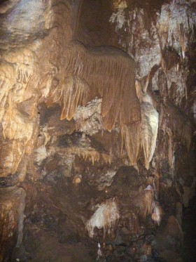 Пещера Ракушек (Fossil cave)