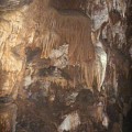 Пещера Ракушек (Fossil cave)