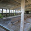 Животноводческое хозяйство «Ладога» в Хапо-Ое: фото №590884