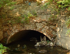 Аптекарский водосток