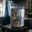 Запасник японского института змей: фото №544532