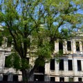 Здание Верховного Суда Абхазии