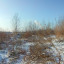 Усолье-Сибирский Деревообрабатывающий завод: фото №629813