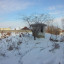 Усолье-Сибирский Деревообрабатывающий завод: фото №629818