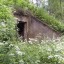 Заброшенная военная база у дачного поселка Алешинские сады: фото №21855