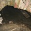 Подземный ход на Богатяновском спуске: фото №587811