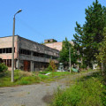 Сухумский химический завод