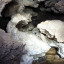 Пещера Самородная: фото №595528